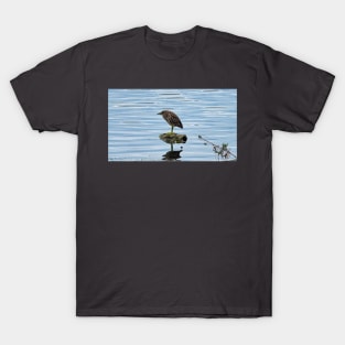 Juvenile Black-crowned Night-Heron T-Shirt